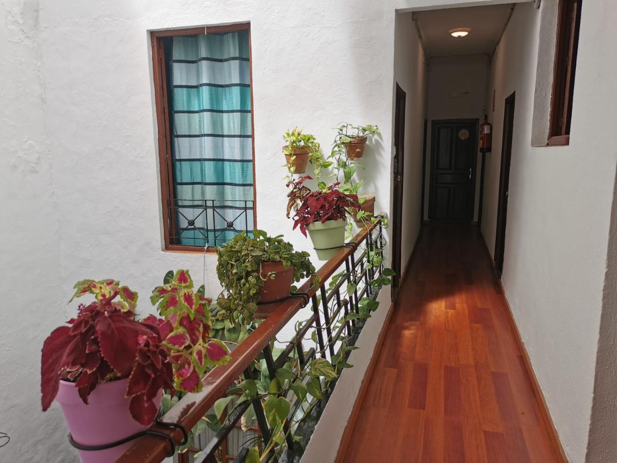 Pension Ronda Sol Bagian luar foto